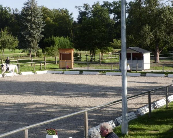 Reitturnier Köngen 2023
