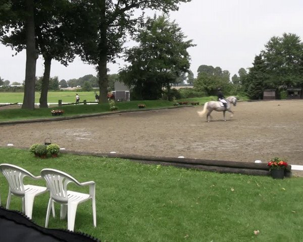 Reitturnier Datteln 2023