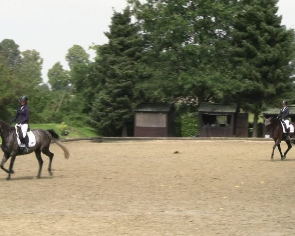 Reitturnier Datteln 2023