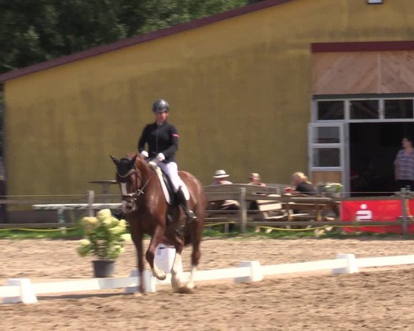 Reitturnier Altlandsberg 2023