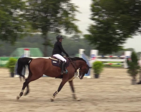 Reitturnier Dortmund-Asseln 2023
