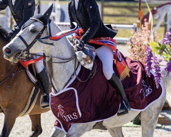 jumper Staedtebahn's Cornwell (Oldenburg show jumper, 2010, from Cornet Obolensky)