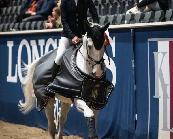 jumper Centogran (Oldenburg show jumper, 2009, from Cento)