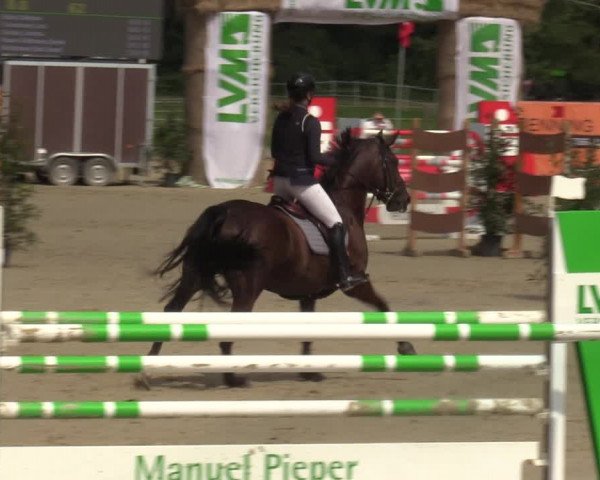 Reitturnier Münster-Albachten 2023