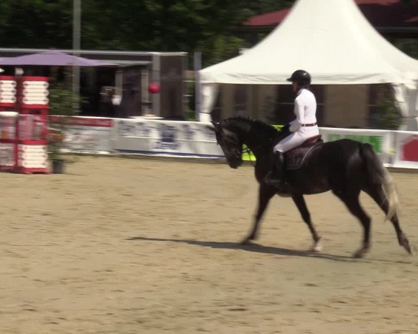 Reitturnier Münster-Albachten 2023