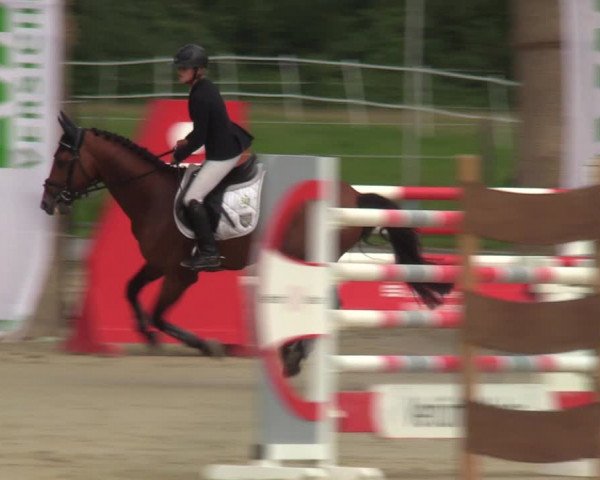 Reitturnier Münster-Albachten 2023