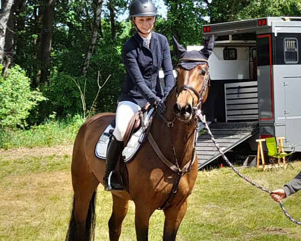 jumper Diara 39 (Hanoverian, 2018, from Diacontinus)