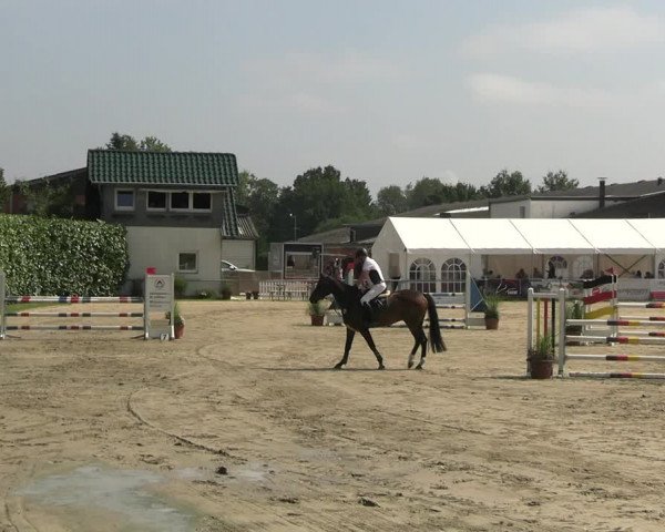 Reitturnier Datteln 2023