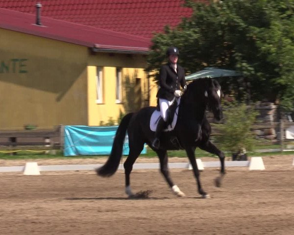 Reitturnier Altlandsberg 2023