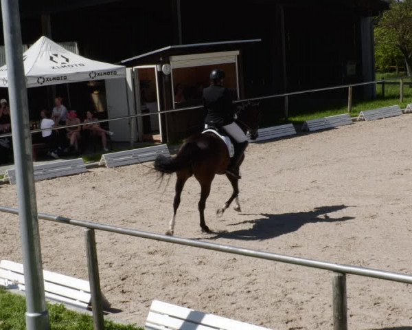 Reitturnier Köngen 2023