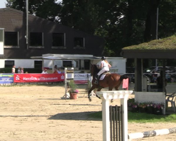 Reitturnier Datteln 2023