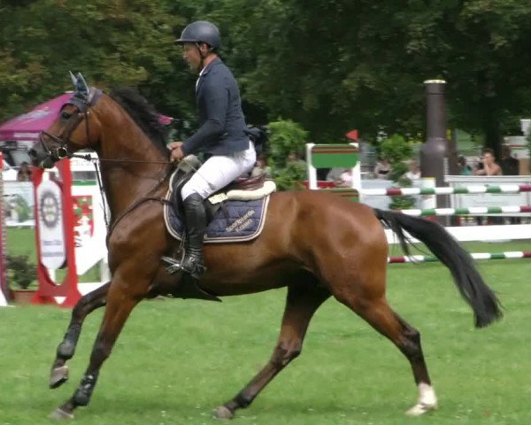 Reitturnier Datteln 2023