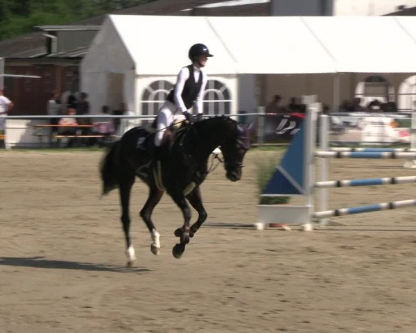 Reitturnier Datteln 2023