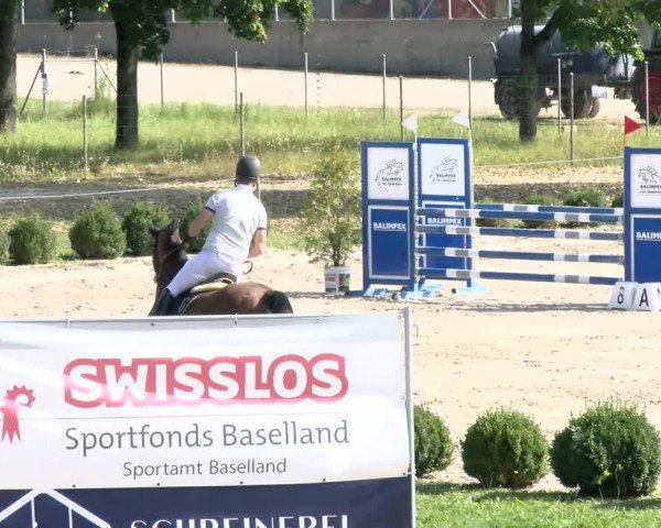 Reitturnier Basel Schänzli 2021