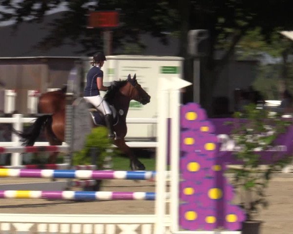 Reitturnier Dortmund-Asseln 2023