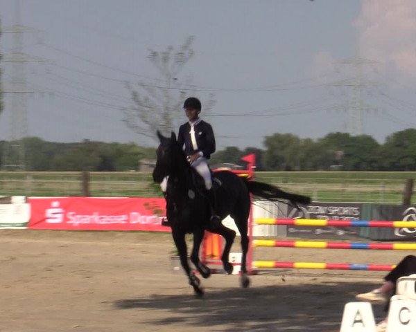 Reitturnier Dortmund-Asseln 2023