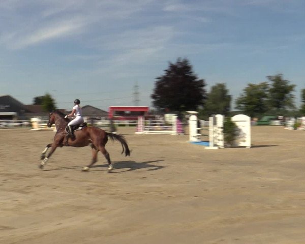 Reitturnier Dortmund-Asseln 2023