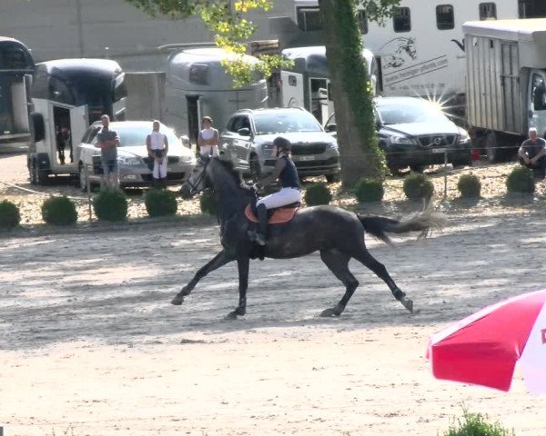 Reitturnier Basel Schänzli 2021