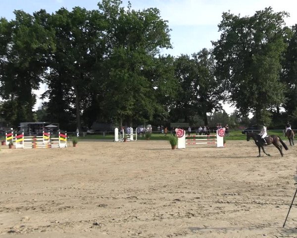 Reitturnier Datteln 2023