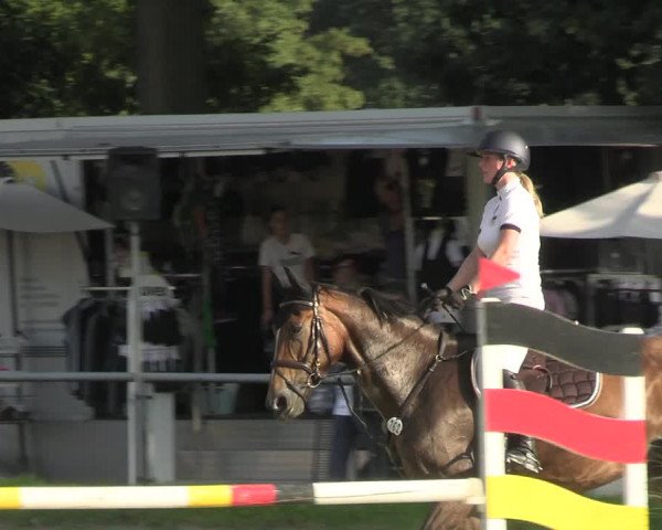 Reitturnier Datteln 2023
