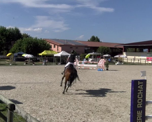 Reitturnier Dompierre 2023