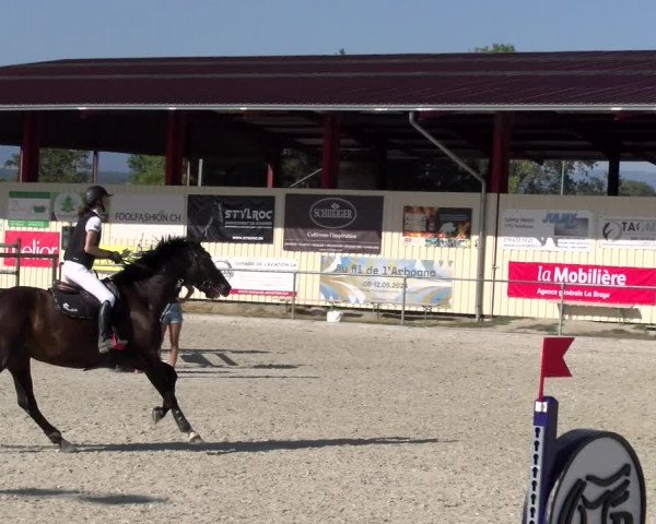 Reitturnier Dompierre 2023