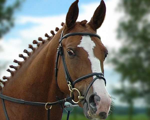 broodmare Karondessa vom Schlösslihof (Swiss Warmblood, 1998, from Karondo vom Schlösslihof)