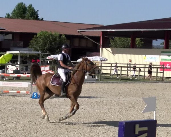 Reitturnier Dompierre 2023