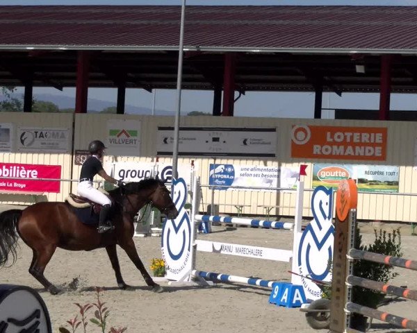 Reitturnier Dompierre 2023