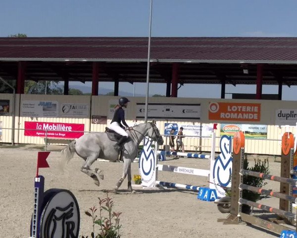 Reitturnier Dompierre 2023