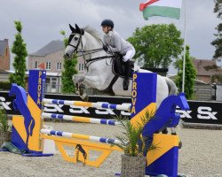 jumper Garden Party (Swedish Warmblood, 2007, from Calido I)