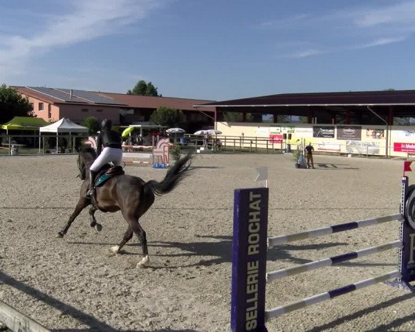 Reitturnier Dompierre 2023