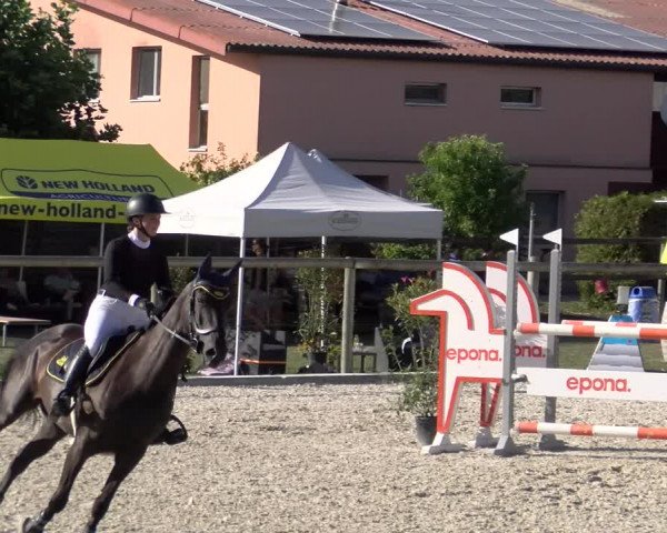 Reitturnier Dompierre 2023