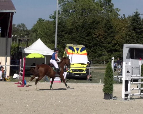 Reitturnier Dompierre 2023