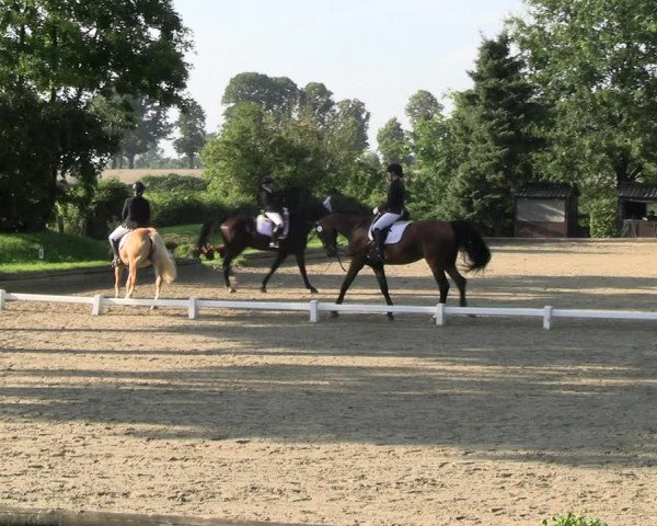 Reitturnier Datteln 2023