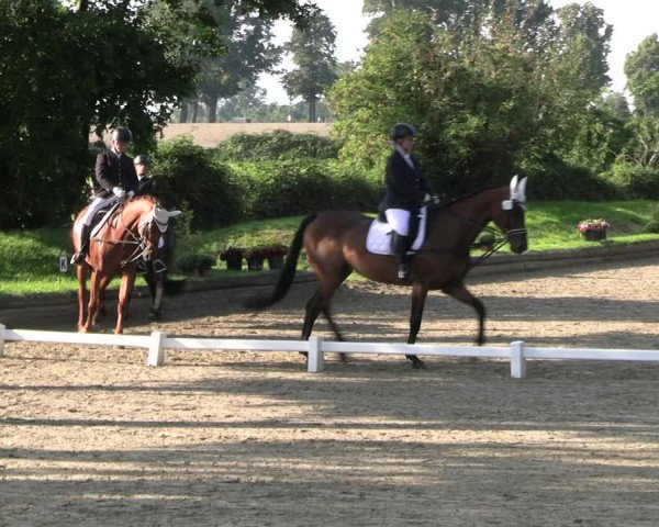 Reitturnier Datteln 2023