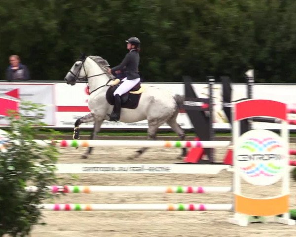 Reitturnier Schnarup-Thumby 2023