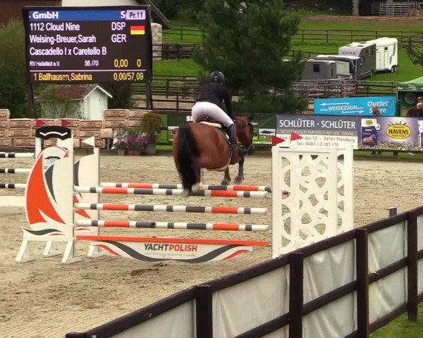 Reitturnier Schnarup-Thumby 2023
