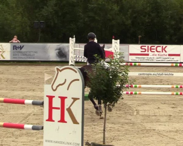 Reitturnier Schnarup-Thumby 2023