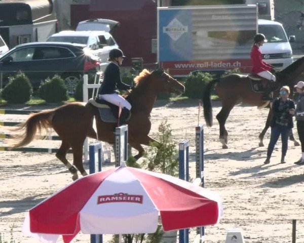 Reitturnier Basel Schänzli 2021