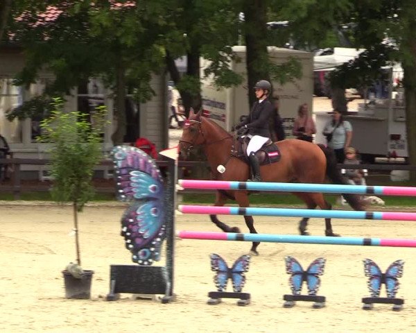 Reitturnier Schnarup-Thumby 2023