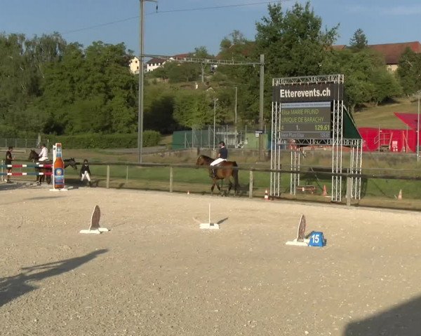 Reitturnier Dompierre 2023