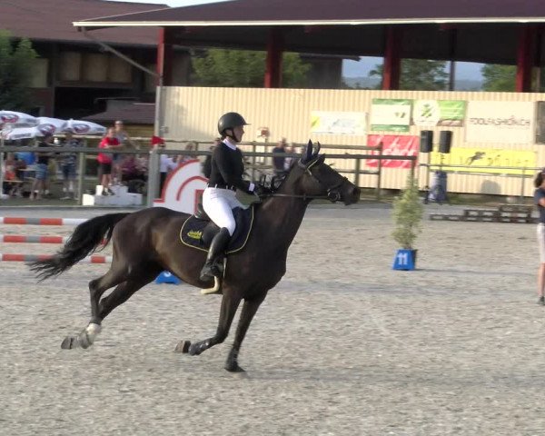 Reitturnier Dompierre 2023