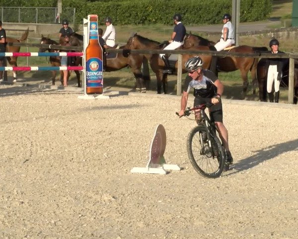 Reitturnier Dompierre 2023