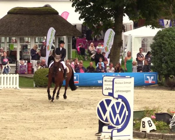 Reitturnier Schnarup-Thumby 2023