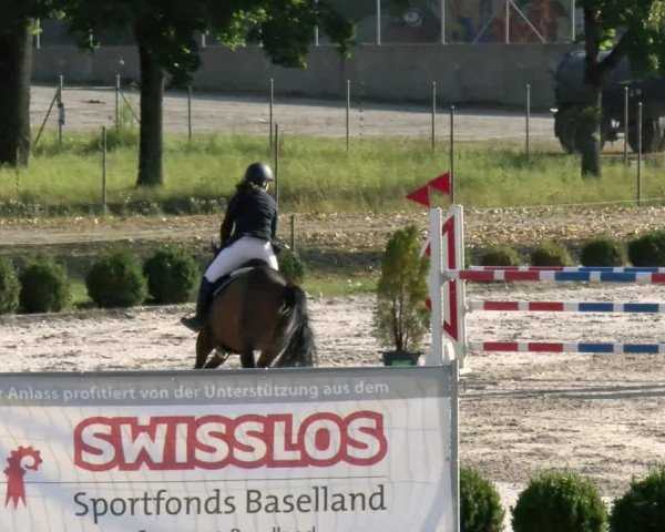 Reitturnier Basel Schänzli 2021