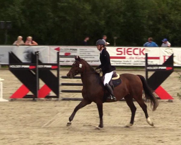 Reitturnier Schnarup-Thumby 2023