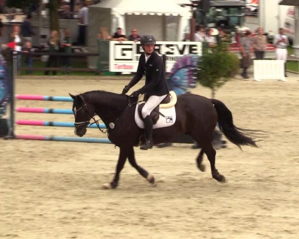 Reitturnier Schnarup-Thumby 2023