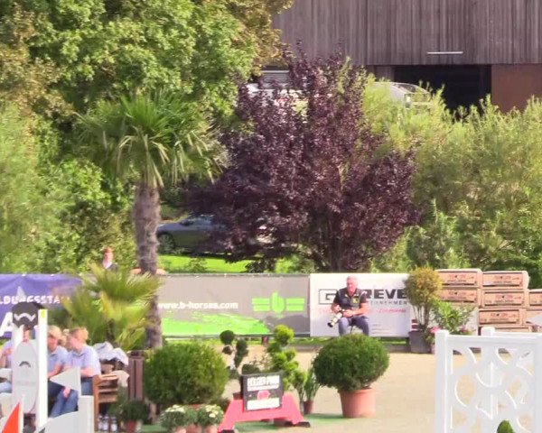 Reitturnier Schnarup-Thumby 2023