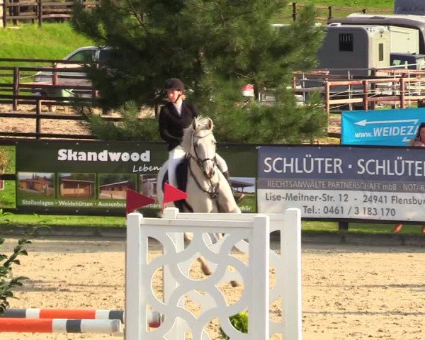 Reitturnier Schnarup-Thumby 2023